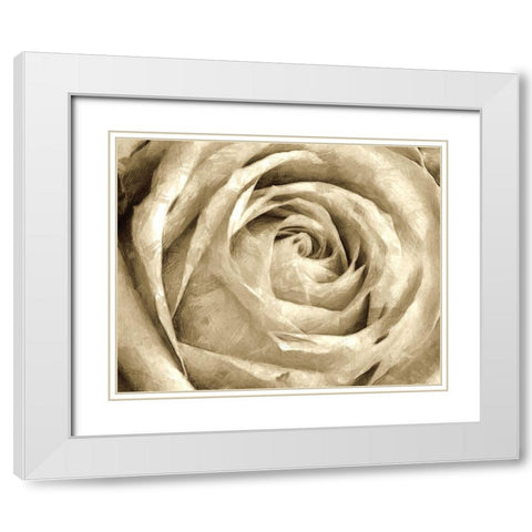 Neutral Wall Flower IV White Modern Wood Framed Art Print with Double Matting by Saunders, Alonzo