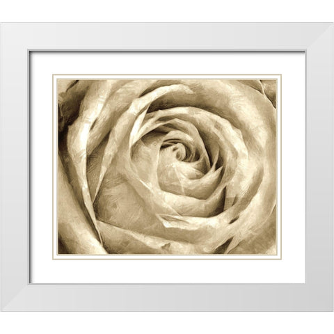 Neutral Wall Flower IV White Modern Wood Framed Art Print with Double Matting by Saunders, Alonzo