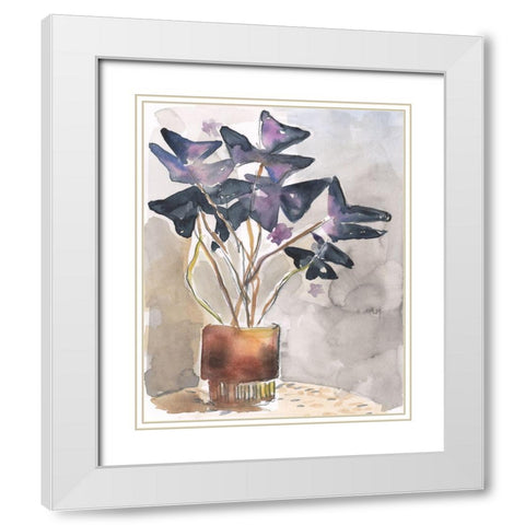 Oxalis in Vase I White Modern Wood Framed Art Print with Double Matting by Parker, Jennifer Paxton