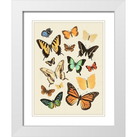 Collected Flutter I White Modern Wood Framed Art Print with Double Matting by Barnes, Victoria