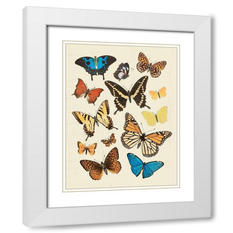 Collected Flutter II White Modern Wood Framed Art Print with Double Matting by Barnes, Victoria