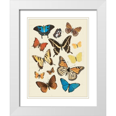 Collected Flutter II White Modern Wood Framed Art Print with Double Matting by Barnes, Victoria