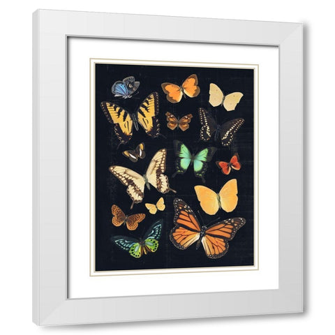 Collected Flutter III White Modern Wood Framed Art Print with Double Matting by Barnes, Victoria