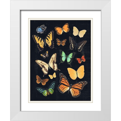 Collected Flutter III White Modern Wood Framed Art Print with Double Matting by Barnes, Victoria