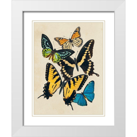 Collaged Butterflies II White Modern Wood Framed Art Print with Double Matting by Barnes, Victoria