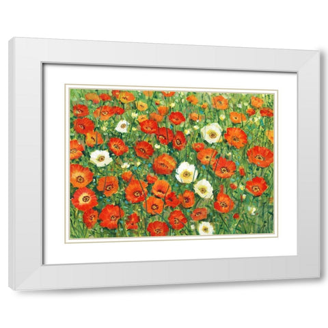 Poppy Meadow II White Modern Wood Framed Art Print with Double Matting by OToole, Tim