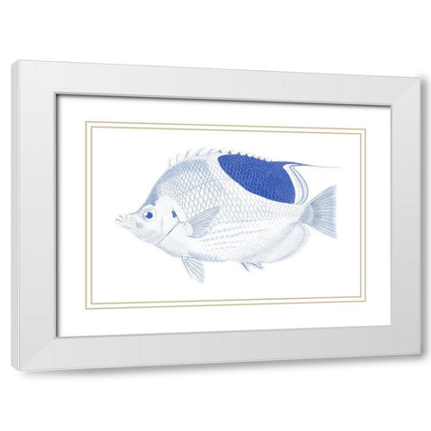 Blue And White Tropical Fish I White Modern Wood Framed Art Print with Double Matting by Vision Studio