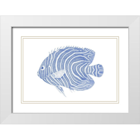 Blue And White Tropical Fish II White Modern Wood Framed Art Print with Double Matting by Vision Studio