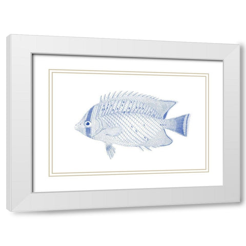 Blue And White Tropical Fish III White Modern Wood Framed Art Print with Double Matting by Vision Studio