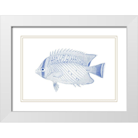 Blue And White Tropical Fish III White Modern Wood Framed Art Print with Double Matting by Vision Studio