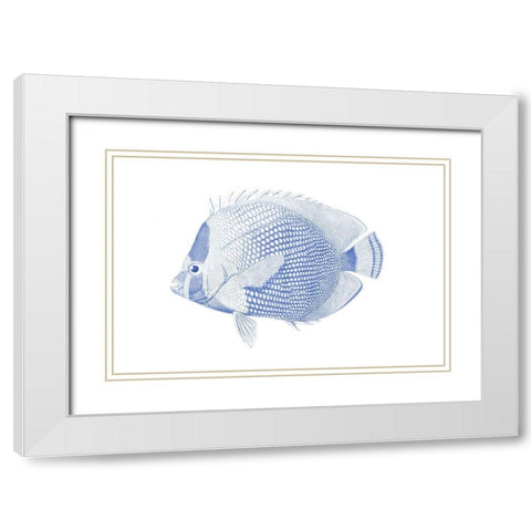 Blue And White Tropical Fish VI White Modern Wood Framed Art Print with Double Matting by Vision Studio