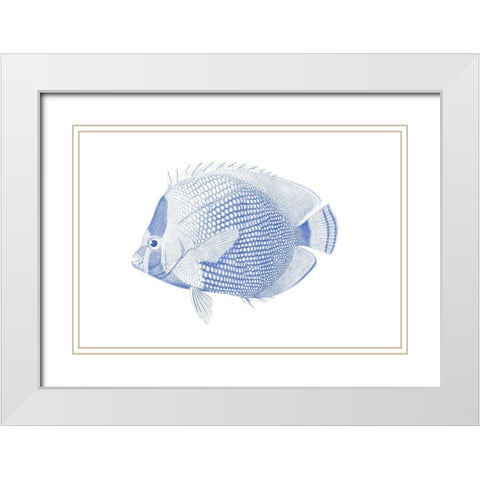 Blue And White Tropical Fish VI White Modern Wood Framed Art Print with Double Matting by Vision Studio