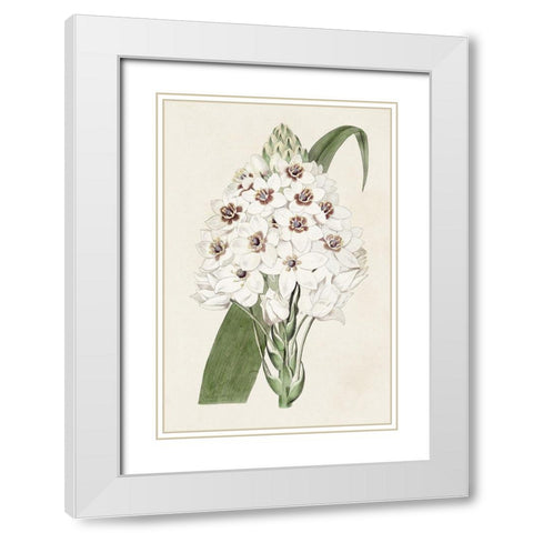 Flore Albo II White Modern Wood Framed Art Print with Double Matting by Ridgeway