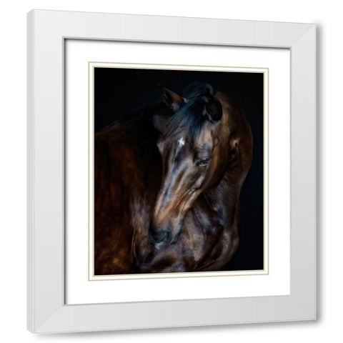 Sunlit Horses I White Modern Wood Framed Art Print with Double Matting by PHBurchett