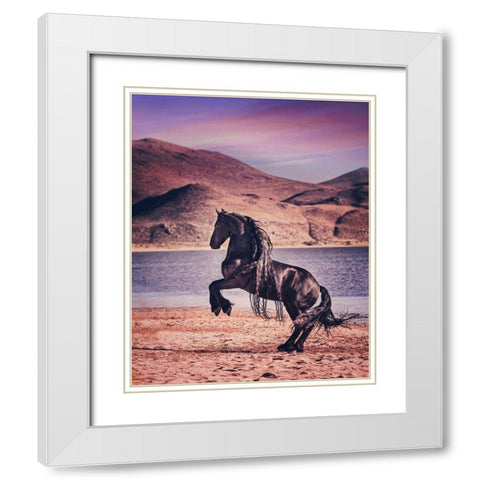 Sunlit Horses II White Modern Wood Framed Art Print with Double Matting by PHBurchett