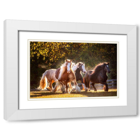 Sunlit Horses III White Modern Wood Framed Art Print with Double Matting by PHBurchett
