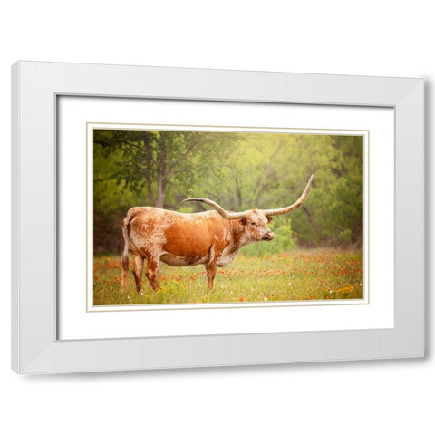 Sunlit Midwest I White Modern Wood Framed Art Print with Double Matting by PHBurchett