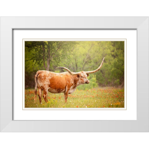 Sunlit Midwest I White Modern Wood Framed Art Print with Double Matting by PHBurchett