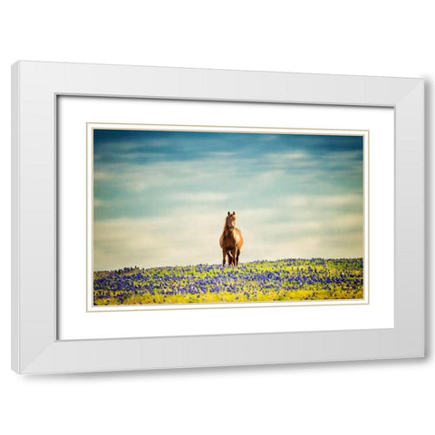 Sunlit Midwest II White Modern Wood Framed Art Print with Double Matting by PHBurchett