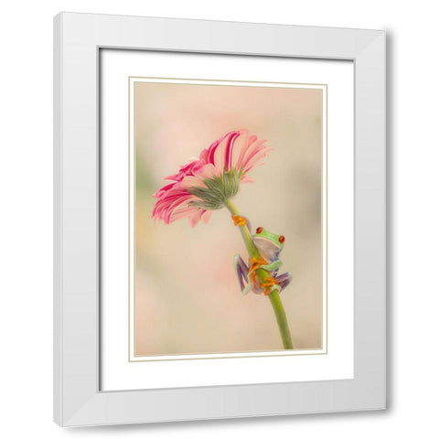 Hanging On I White Modern Wood Framed Art Print with Double Matting by PHBurchett