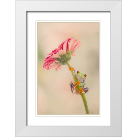 Hanging On I White Modern Wood Framed Art Print with Double Matting by PHBurchett