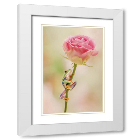 Hanging On II White Modern Wood Framed Art Print with Double Matting by PHBurchett