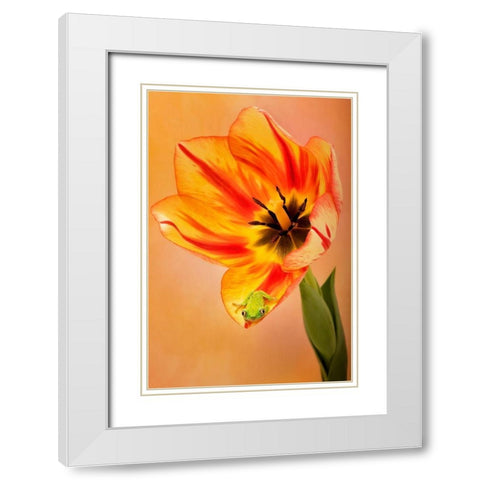 Hanging On VI White Modern Wood Framed Art Print with Double Matting by PHBurchett