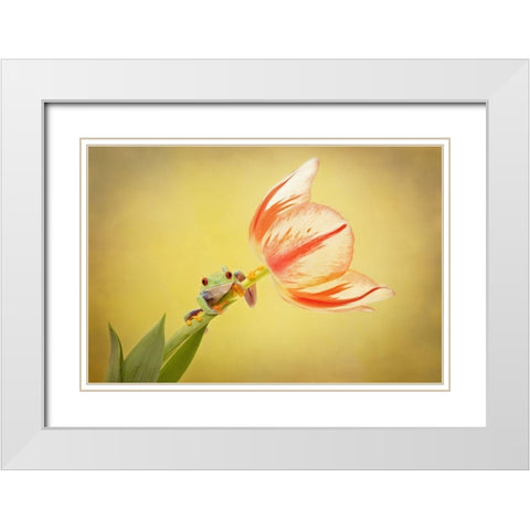 Hanging On VII White Modern Wood Framed Art Print with Double Matting by PHBurchett