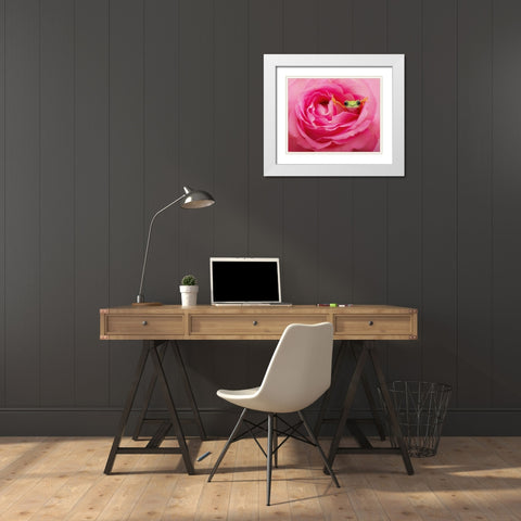 Hanging On VIII White Modern Wood Framed Art Print with Double Matting by PHBurchett