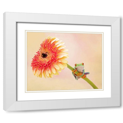 Hanging On IX White Modern Wood Framed Art Print with Double Matting by PHBurchett