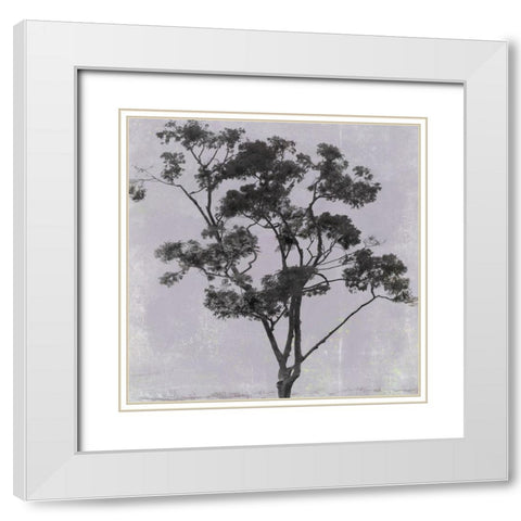 Adajio III White Modern Wood Framed Art Print with Double Matting by Aryai, Sia