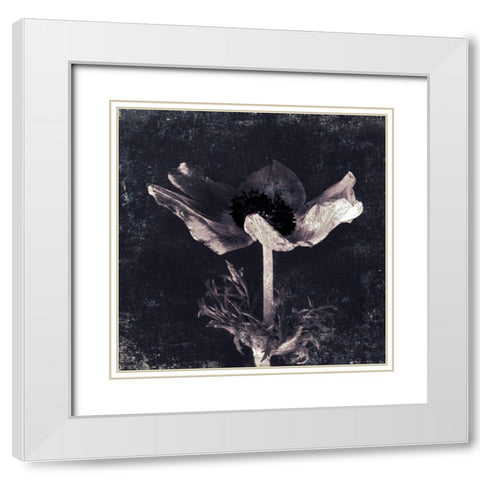 Aurora Blooms I White Modern Wood Framed Art Print with Double Matting by Aryai, Sia