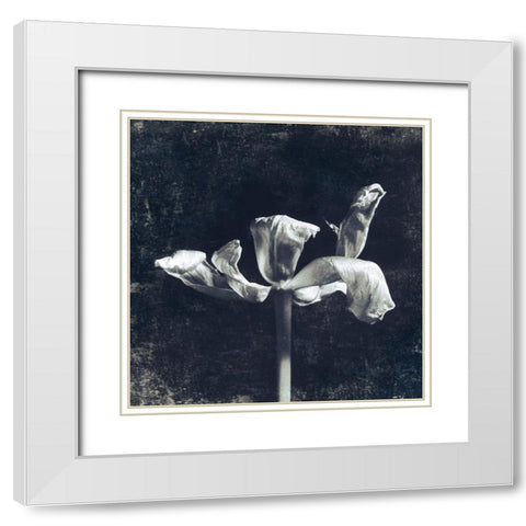 Aurora Blooms II White Modern Wood Framed Art Print with Double Matting by Aryai, Sia