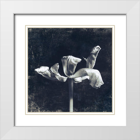 Aurora Blooms II White Modern Wood Framed Art Print with Double Matting by Aryai, Sia