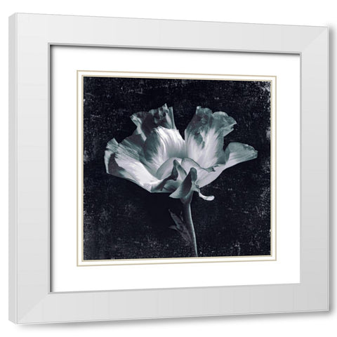Aurora Blooms III White Modern Wood Framed Art Print with Double Matting by Aryai, Sia