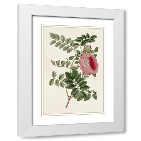 Pink Floral Mix I White Modern Wood Framed Art Print with Double Matting by Ridgeway