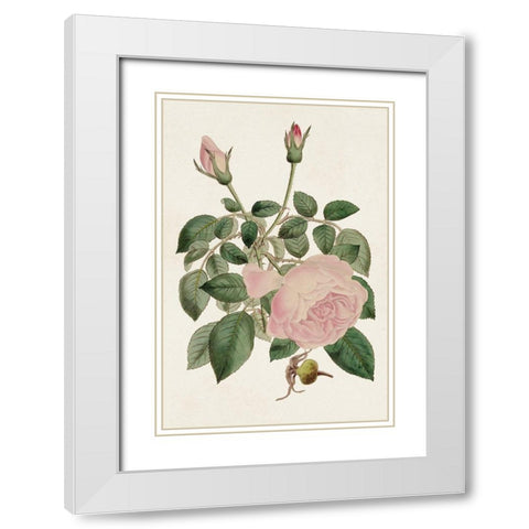 Pink Floral Mix II White Modern Wood Framed Art Print with Double Matting by Ridgeway