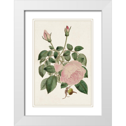 Pink Floral Mix II White Modern Wood Framed Art Print with Double Matting by Ridgeway