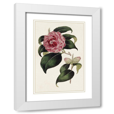 Pink Floral Mix III White Modern Wood Framed Art Print with Double Matting by Ridgeway