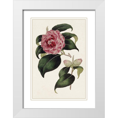 Pink Floral Mix III White Modern Wood Framed Art Print with Double Matting by Ridgeway