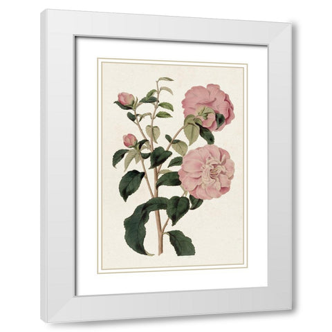 Pink Floral Mix IV White Modern Wood Framed Art Print with Double Matting by Ridgeway