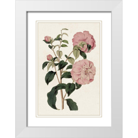 Pink Floral Mix IV White Modern Wood Framed Art Print with Double Matting by Ridgeway