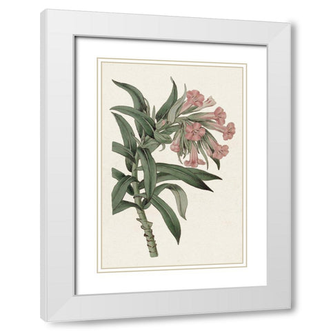 Pink Floral Mix VI White Modern Wood Framed Art Print with Double Matting by Ridgeway