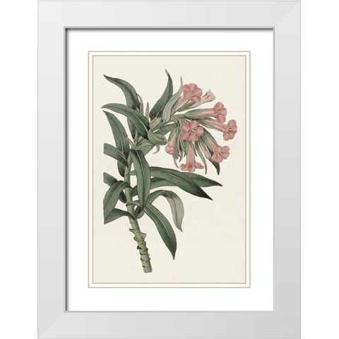 Pink Floral Mix VI White Modern Wood Framed Art Print with Double Matting by Ridgeway