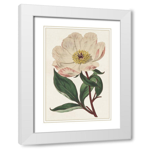 Pink Floral Mix VII White Modern Wood Framed Art Print with Double Matting by Ridgeway