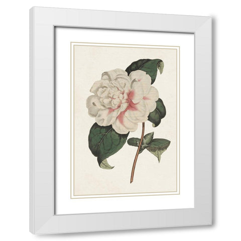 Pink Floral Mix VIII White Modern Wood Framed Art Print with Double Matting by Ridgeway