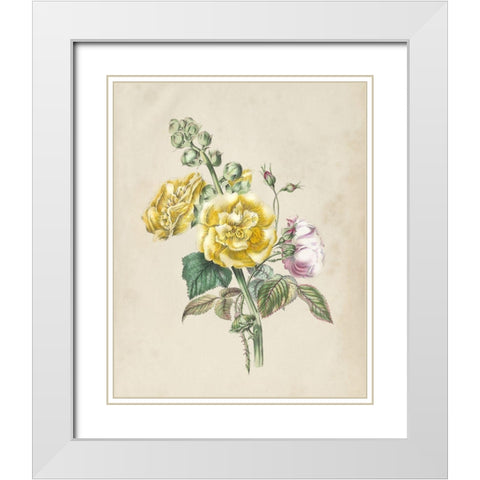 Antique Garden Bouquet II White Modern Wood Framed Art Print with Double Matting by Vision Studio