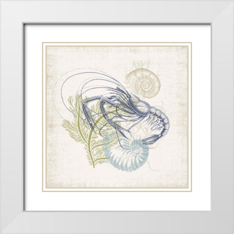 Antique Coastal Ephemera V White Modern Wood Framed Art Print with Double Matting by Barnes, Victoria