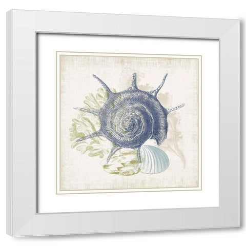 Antique Coastal Ephemera VII White Modern Wood Framed Art Print with Double Matting by Barnes, Victoria