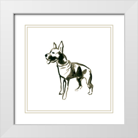 Canine Cameo VII White Modern Wood Framed Art Print with Double Matting by Vess, June Erica